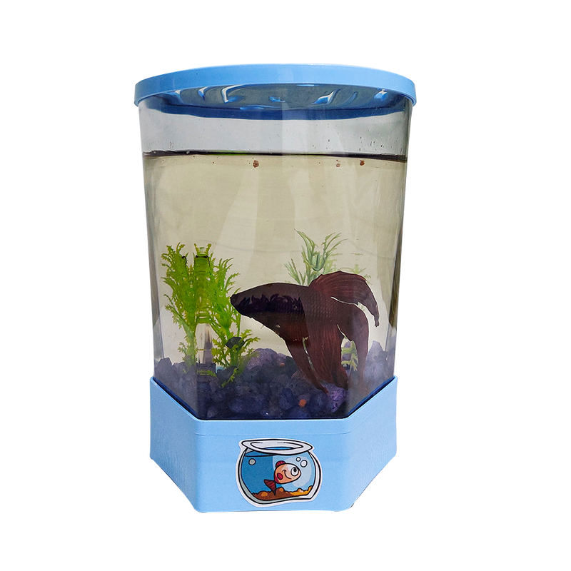 Aquário Beteira para Peixe Betta Azul (1L)