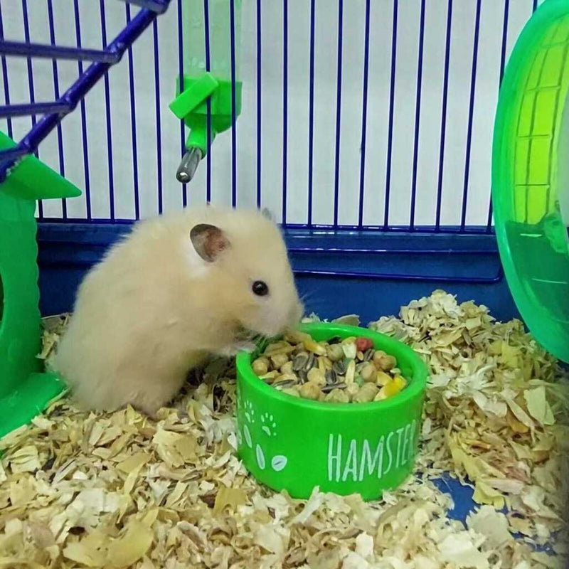 Kit Hamster - Comedouro, Bebedouro, Casinha e Maravalha