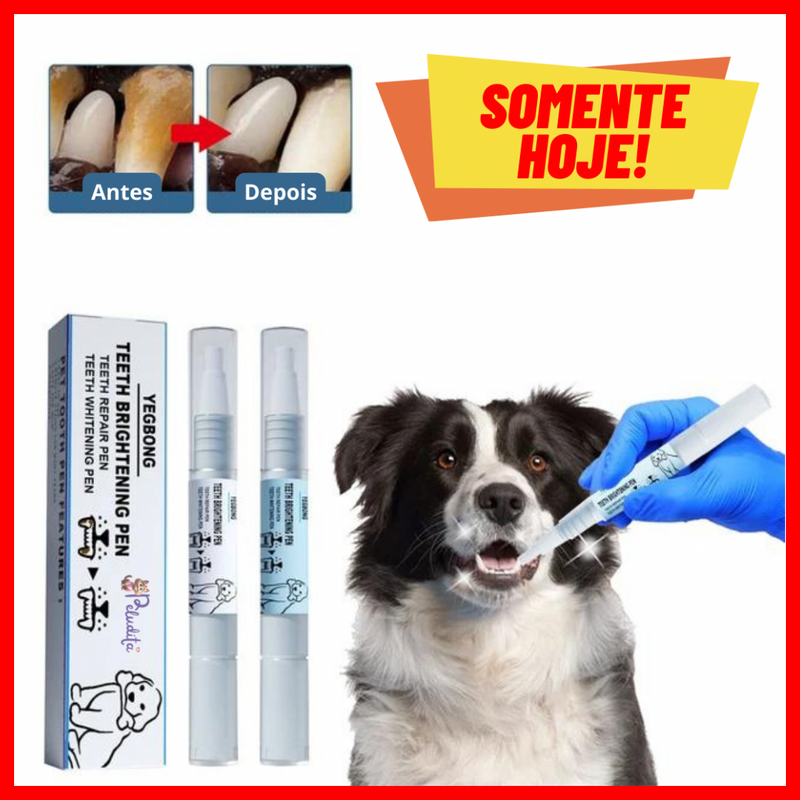 KIT 2 Canetas de Limpeza Dental Profunda Peludita - OFERTA RELÂMPAGO!